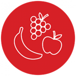 Fruit